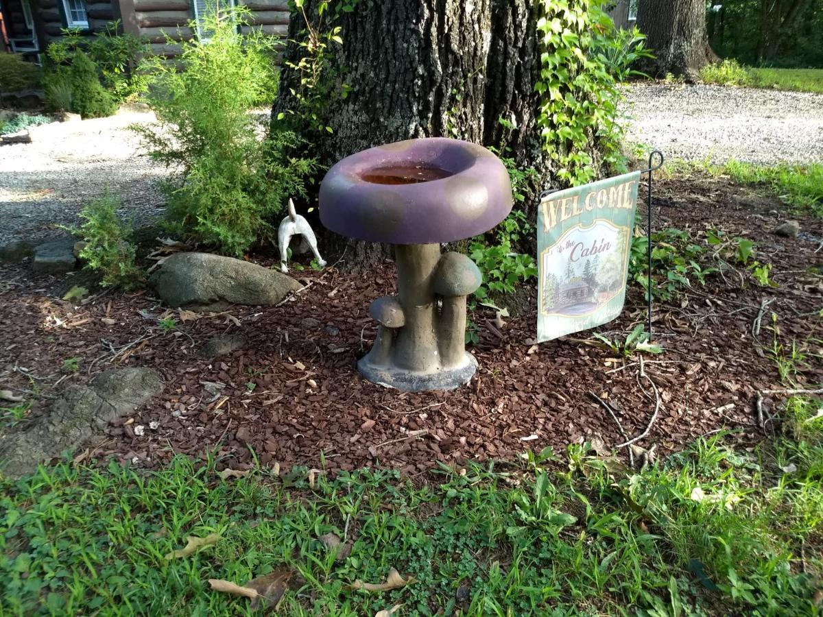 The Bent Branch Lodge - A Gnomes Retreat - Historic Virginia Log Cabin, Coy Pond And Babbling Brook Lynchburg Exterior foto