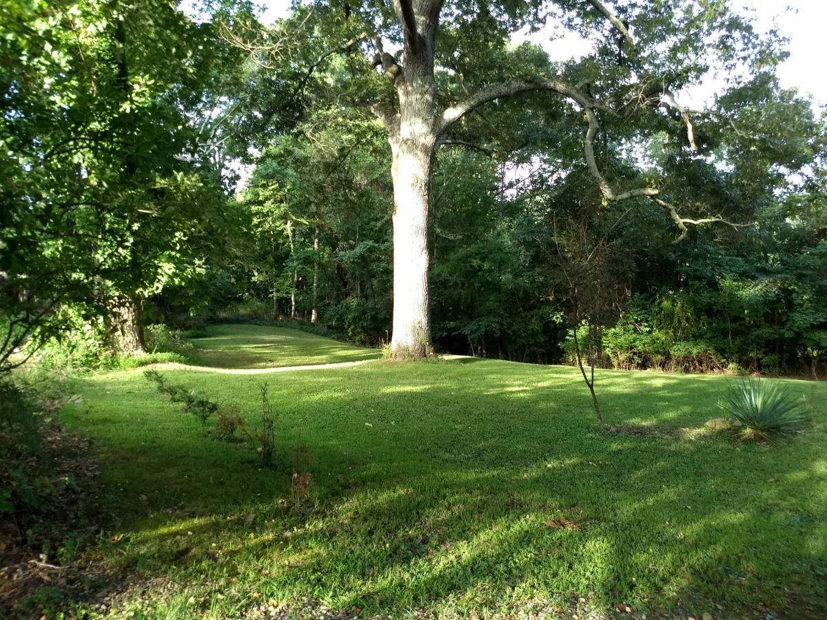 The Bent Branch Lodge - A Gnomes Retreat - Historic Virginia Log Cabin, Coy Pond And Babbling Brook Lynchburg Exterior foto